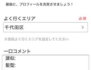 詳細プロフィール入力画面